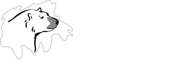 Logo - Toiture polaire
