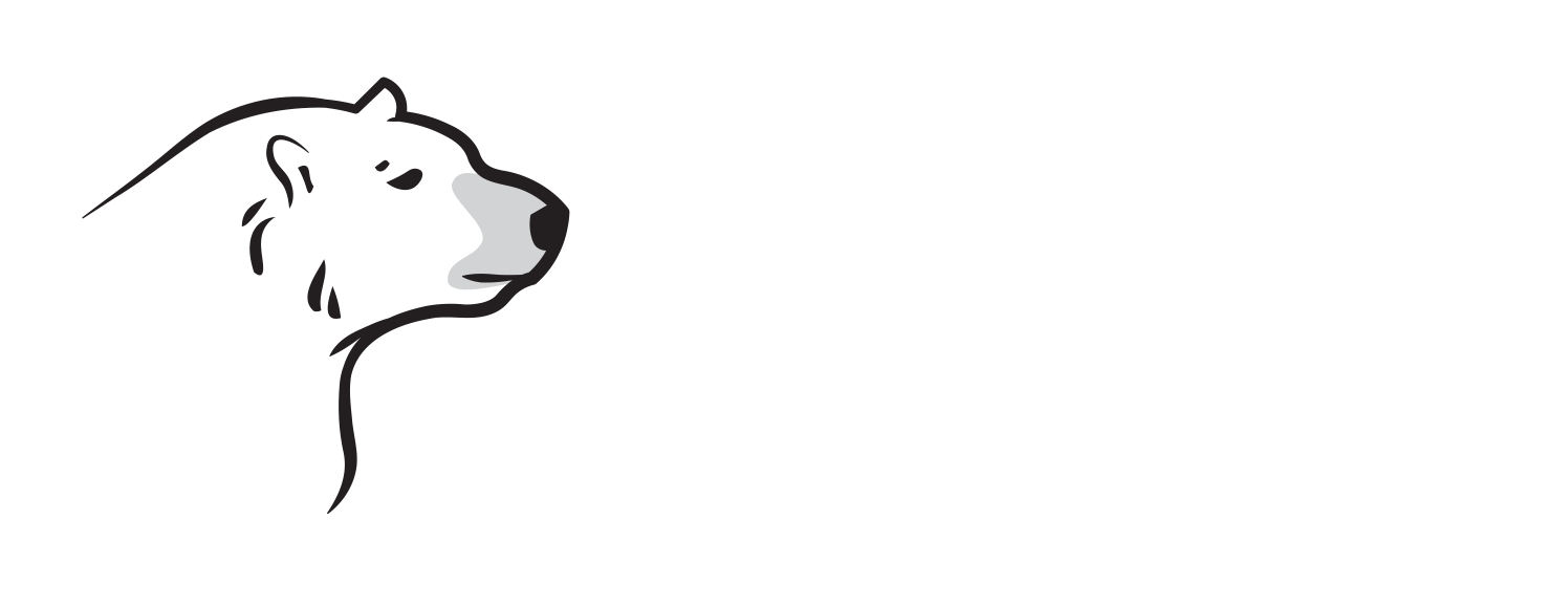 Gouttières Polaire - Logo 2025